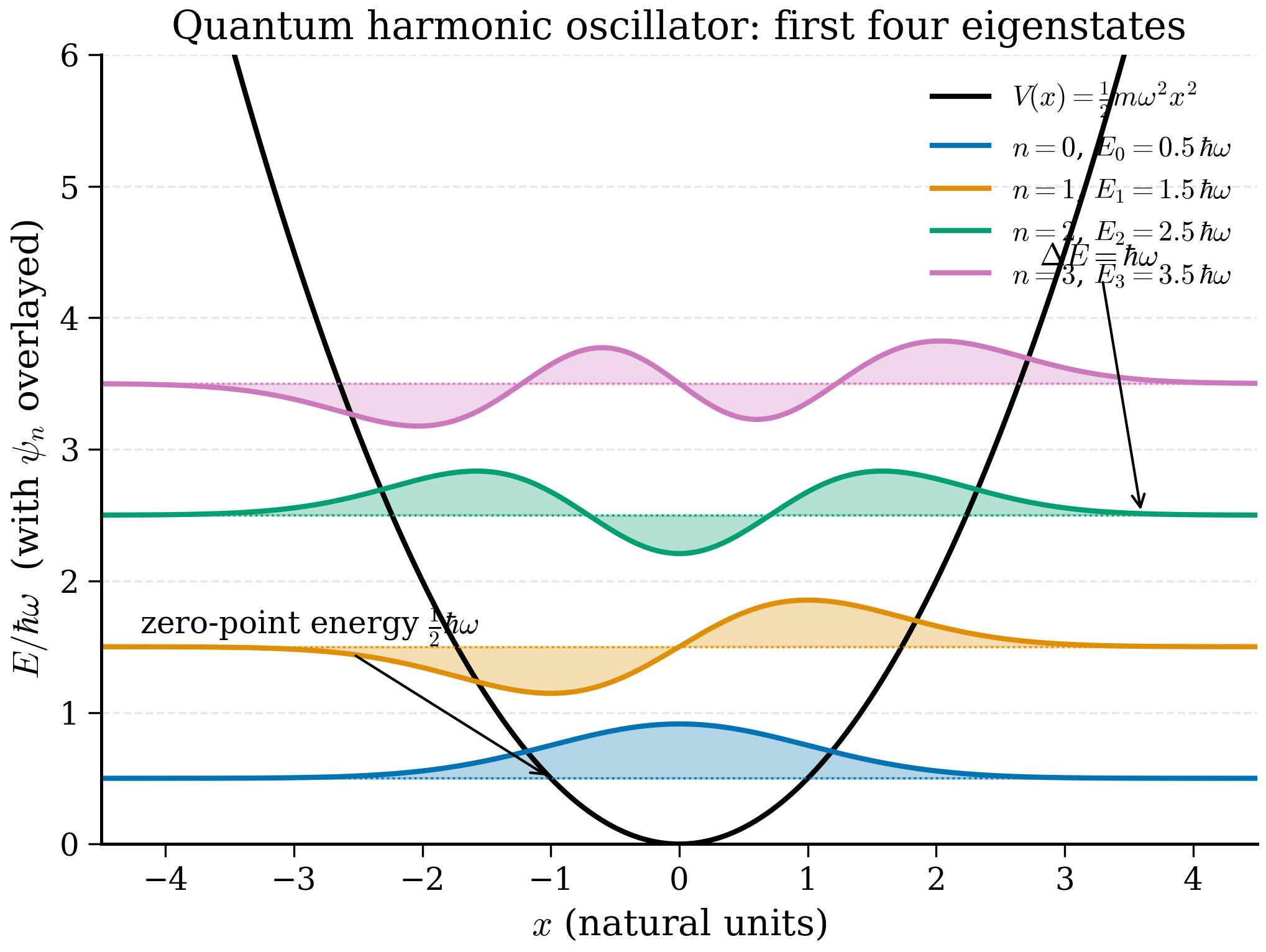 The first four eigenstates of the 1D quantum harmonic oscillator drawn on the parabolic potential well, with energy levels equally spaced by h-bar omega and the ground state sitting at the zero-point energy one half h-bar omega above the potential minimum